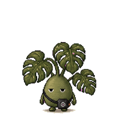 モンステラバッジ レベル4