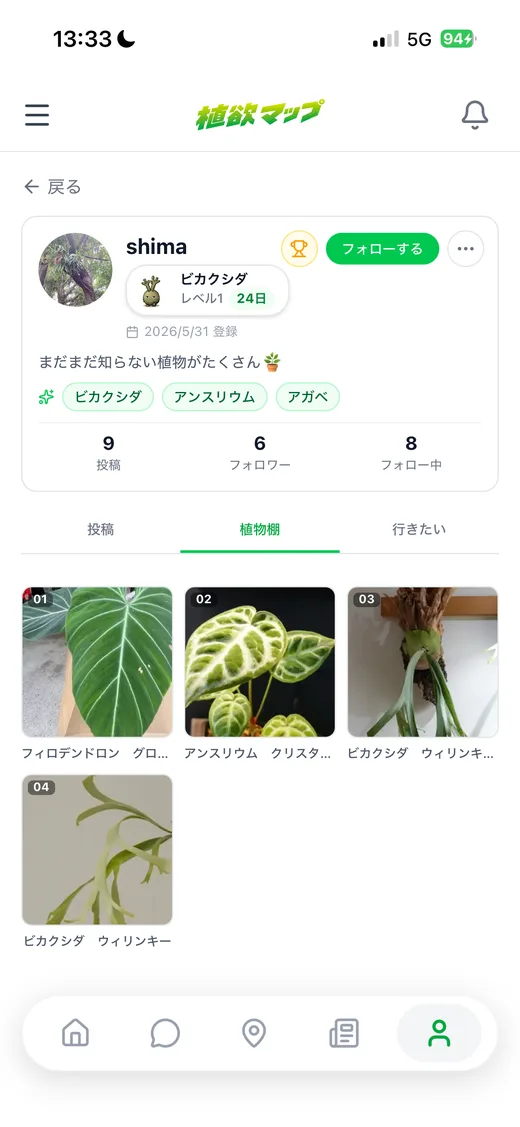 植物棚画面